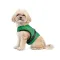 Шлея Ross ТМ Pet Fashion для собак XS зелена — Фото 7