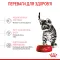 Сухий корм Royal Canin KITTEN STERILISED для кошенят всіх порід 0,4 кг+KITTEN STERILISED CIG 85 г — Фото 9