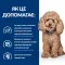 Hill’s Prescription Diet Gastrointestinal Biome Mini Сухий корм для собак малих порід при захворюваннях шлунково-кишкового тракту, з куркою, 3 кг — Фото 11