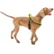 Ferplast SPORT DOG P L YELLOW Шлея, нейлон — Фото 17