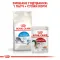 Сухий корм Royal Canin INDOOR для котів всіх порід 4 кг — Фото 10
