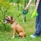 Повідець-рулетка для собак WAUDOG R-leash з контейнером для пакетів, світловідбивна стрічка, L, до 40 кг, 5 м, зелений — Фото 15