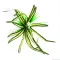 Штучна рослина Repti-Zoo Dracena Marginata 30см (TP016) — Фото 7