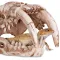 Декорація череп тигра Terrario Sabertooth Skull 13x8,5x11см (15911) — Фото 10