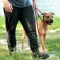 Повідець-Зашморг для Собак Bronzedog Active з Альпіністського Шнура Тренувальний Чорно-Червоний L/XL — Фото 13