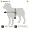Ferplast HERCULES P XXL HARNESS BLUE Шлея, синя — Фото 13