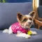 Бомбер Pet Fashion «Grace» для собак, розмір M, рожевий — Фото 7
