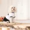 Сукня Chanti ТМ Pet Fashion для собак XS2 білий/чорний — Фото 7