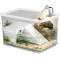 Тераріум-акваріум для черепахи Kruger Meier LagunaVerde Turtle Aquarium 30×18×18 см з островом і фільтром — Фото 9