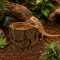 Декорація Hobby Forest Stump 14×12,5×10 см - декоративний пень, поїлка для тераріуму (40848) — Фото 7