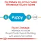 Сухий корм Royal Canin FRENCH BULLDOG PUPPY для цуценят породи Французький бульдог 1 кг — Фото 10