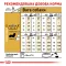 Сухий корм Royal Canin DACHSHUND ADULT для дорослих собак породи Такса 1,5 кг — Фото 9