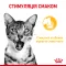 Вологий корм Royal Canin SENSORY TASTE JELLY для котів всіх порід 85 г — Фото 7