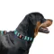 Нашийник для Собак BronzeDog Urban Зигзаг Нейлоновий з Пластиковою Пряжкою Коричнево-Блакитний L — Фото 10