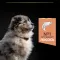 Сухий корм PRO PLAN Medium Puppy <1 Sensitive Skin для цуценят середніх порід з чутливою шкірою з лососем 12 кг — Фото 17