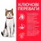Hill's Science Plan Mature Adult 7+ Сухий корм для зрілих котів від 7 років, з куркою, 1,5 кг — Фото 7