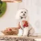 Сорочка Pet Fashion Соломія для собак дівчинка бежева XS2 — Фото 7