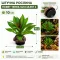 Штучна рослина Hobby Terra Succulent 2 10 см (37731) для тераріуму, акватераріуму та палюдаріуму — Фото 4