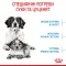 Сухий корм Royal Canin MEDIUM STARTER для дорослих собак середніх порід 1 кг — Фото 11