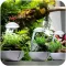 Мінітераріум Chihiros Tiny Terrarium Egg з LED-підсвіткою та керуванням через застосунок — Фото 11