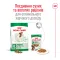 Сухий корм Royal Canin MINI ADULT для дорослих собак малих порід 2 кг — Фото 9