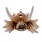 Декорація череп дракона Hobby Dragon Skull S 12,5×9×8,5 см для акваріума і тераріума (32074) — Фото 10