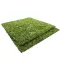 Фон моховий Repti-Zoo Natural Moss Back & Bottom 30x30см 2шт. (NCM3030) — Фото 11
