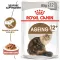 Вологий корм Royal Canin AGEING+12 для котів всіх порід 85 г — Фото 8