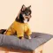 Кардиган Pet Fashion Denis для собак розмір S жовтий — Фото 9