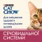 Сухий корм CAT CHOW Urinary для дорослих котів для підтримки здоров'я сечовивідної системи з куркою 1,5 кг — Фото 18