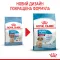 Сухий корм Royal Canin MEDIUM PUPPY для цуценят середніх порід 15 кг — Фото 8