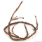 Ліана вигнута з листям Repti-Zoo Bend-A-Branch Vine 150см (RV0415) — Фото 8