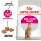 Сухий корм Royal Canin EXIGENT PROTEIN для котів всіх порід 2 кг — Фото 8
