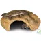 Декорація пещера Terrario Gecko Cave M 21x17x8см (24178) — Фото 8