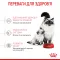 Сухий корм Royal Canin MOTHER&BABYCAT для кошенят всіх порід 0,4 кг — Фото 11
