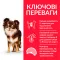 Hill’s Science Plan Adult Light Small&Mini Сухий корм для схильних до зайвої ваги дорослих собак малих і мініатюрних порід, з куркою, 6 кг — Фото 5