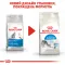 Сухий корм Royal Canin INDOOR для котів всіх порід 4 кг — Фото 9