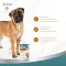 Вітаміни 8in1 Excel Glucosamine + MSM для цуценят та дорослих собак, для суглобів, 55 шт — Фото 22