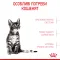 Сухий корм Royal Canin KITTEN STERILISED для кошенят всіх порід 0,4 кг+KITTEN STERILISED CIG 85 г — Фото 10