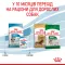 Сухий корм Royal Canin MINI PUPPY для цуценят малих порід 2 кг — Фото 16