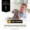 Вологий дієтичний корм PRO PLAN VETERINARY DIETS NF Renal Function для дорослих собак для підтримання функції нирок при хронічній хворобі нирок, мус 400 г — Фото 15