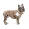 Жилет Pet Fashion Chip для собак M3 — Фото 9