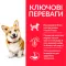 Hill’s Science Plan Adult Small&Mini Сухий корм для дорослих собак малих і мініатюрних порід, з куркою, 0,3 кг — Фото 7