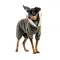 Костюм Pet Fashion «Alf» для собак, розмір XS2, хакі — Фото 5