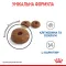 Сухий корм Royal Canin LIGHT WEIGHT CARE для котів всіх порід 0,4 кг — Фото 10