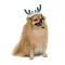 Аксесуар-ріжки Pet Fashion "Deer" для собак, розмір M-L, зелені — Фото 5