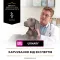 Сухий дієтичний корм PRO PLAN VETERINARY DIETS UR Urinary для дорослих собак для розчинення та зниження утворення струвітних каменів 1,5 кг — Фото 16