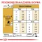 Сухий корм Royal Canin BEAGLE ADULT для дорослих собак породи Бігль 3 кг — Фото 9