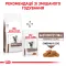 Дієтичний сухий корм Royal Canin GASTROINTESTINAL MODERATE CALORIE CAT для котів 4 кг — Фото 10