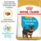 Сухий корм Royal Canin YORKSHIRE PUPPY для цуценят породи Йоркшир-тер'єр 0,5 кг + WET MINI PUPPY 85 г — Фото 6